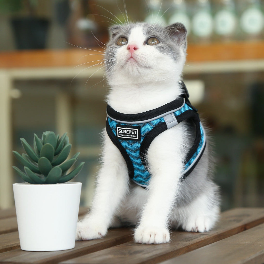 Dog Harnesses with Handle for Outdoor Training