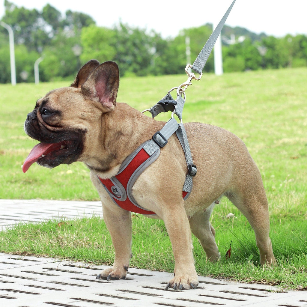 Breathable Soft Air Mesh Harnesses for Puppy