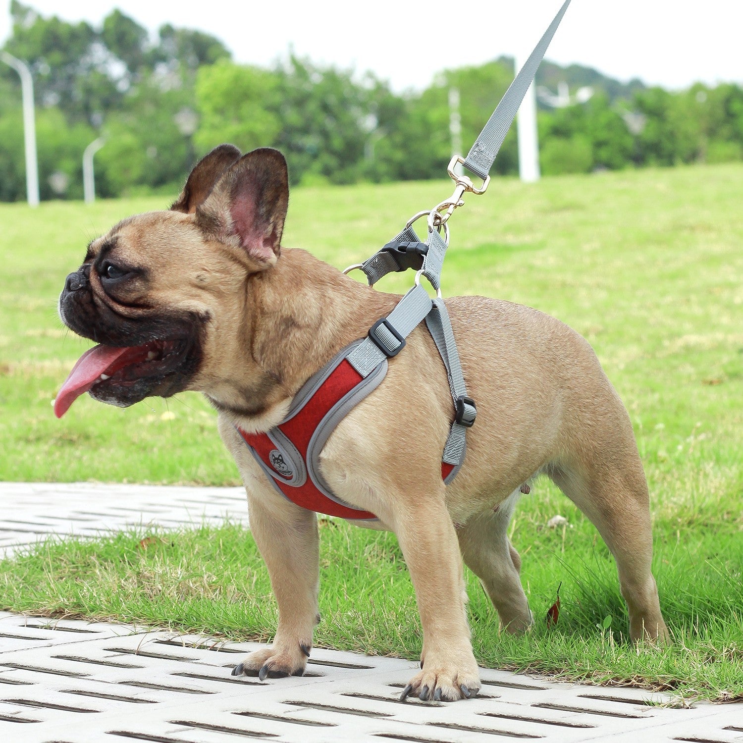 Breathable Soft Air Mesh Harnesses for Puppy