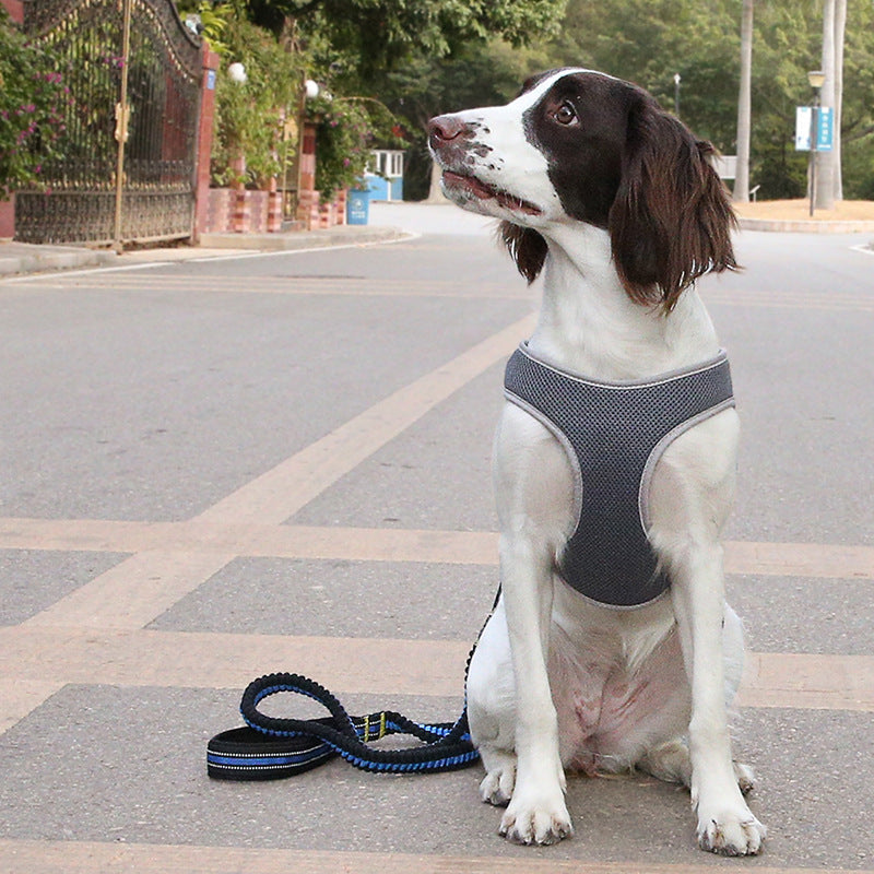 Elastic Breathable Dog Harnesses