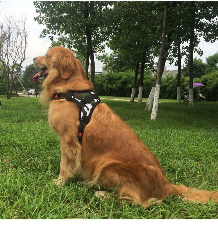 Easy for Walking Sport Harnesses with Handle