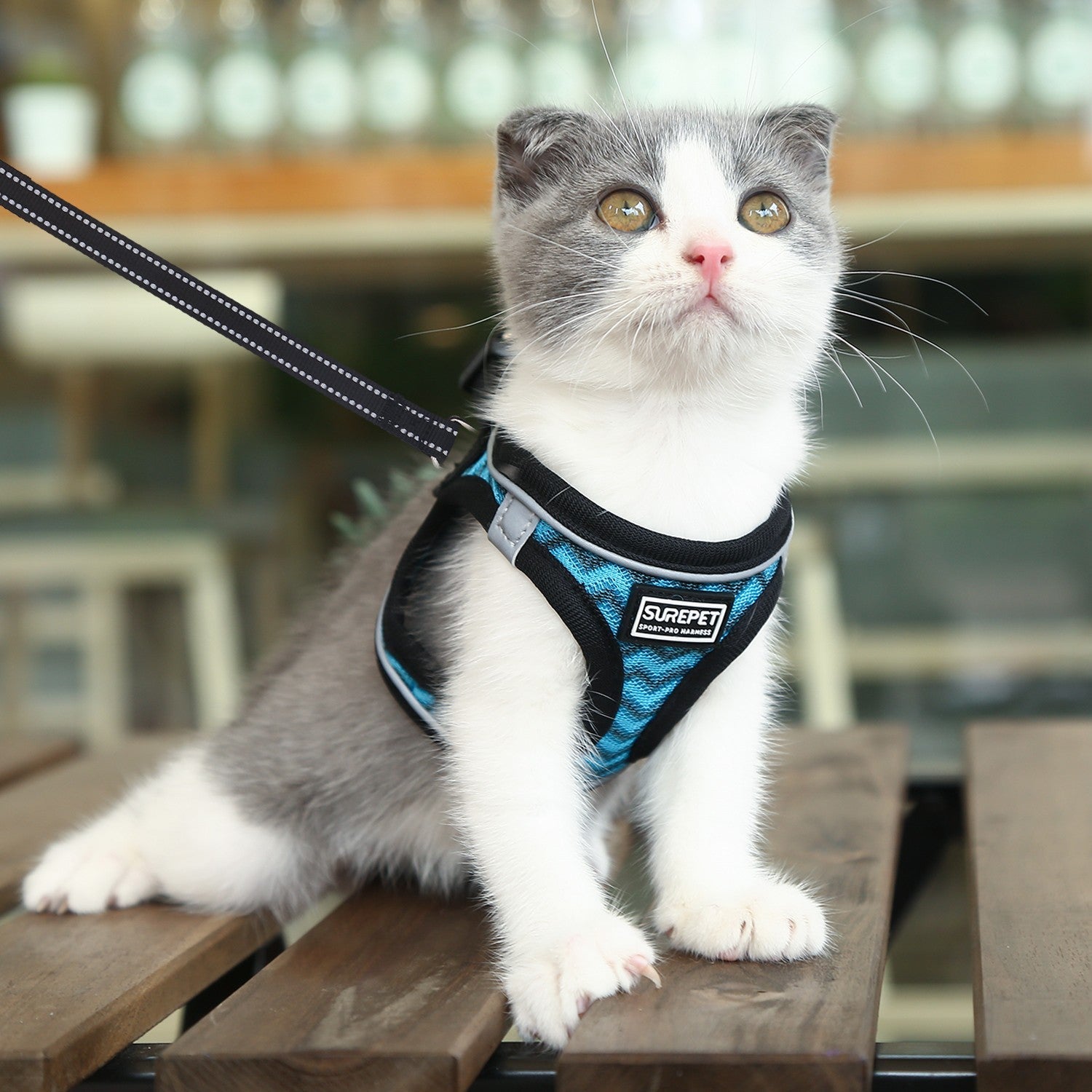 Dog Harnesses with Handle for Outdoor Training