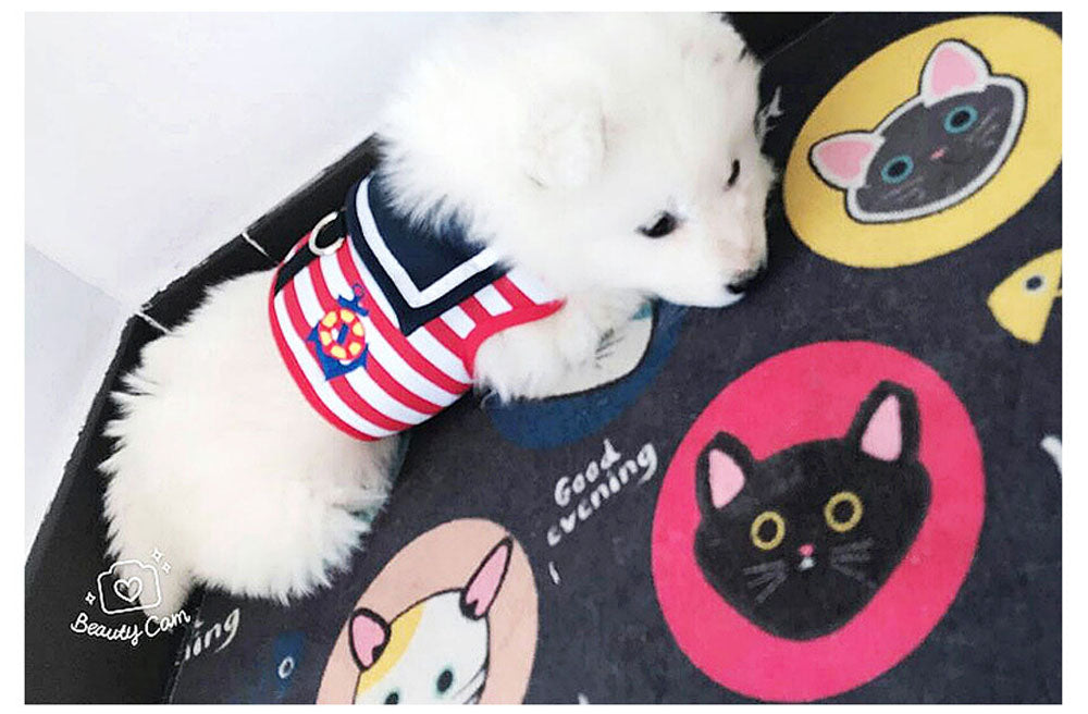 HOOK & LOOP Navy Dog Harnesses and Leash