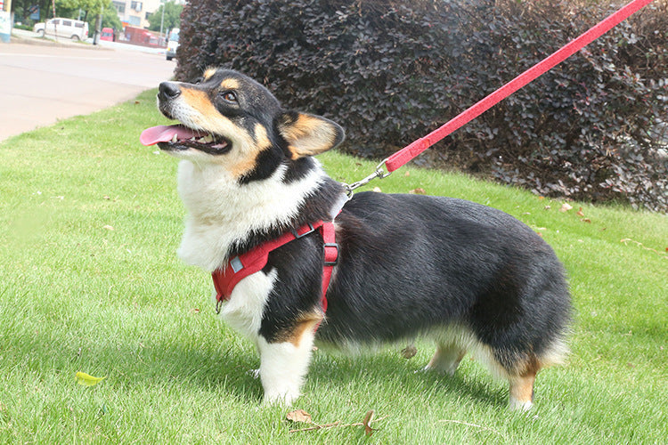 Reflective Leash and Harnesses for Cats Puppies