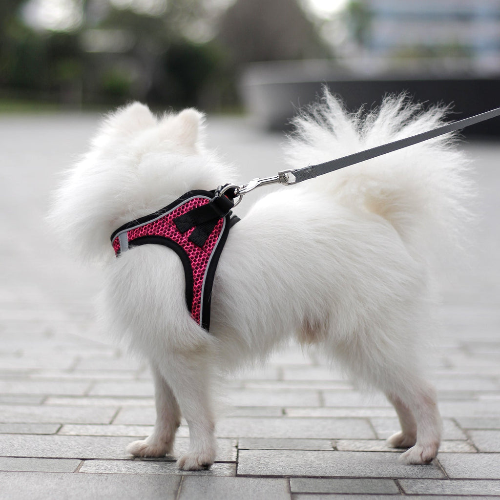 Dog Reflective Harnesses and Dog Leash