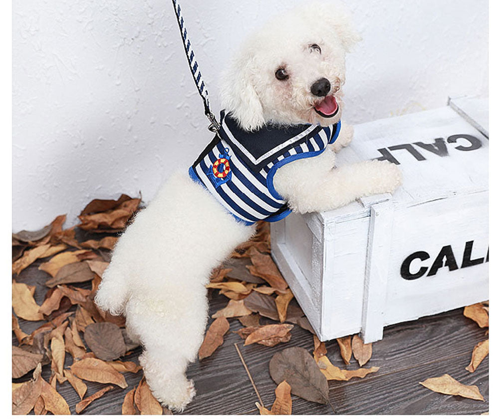 HOOK & LOOP Navy Dog Harnesses and Leash