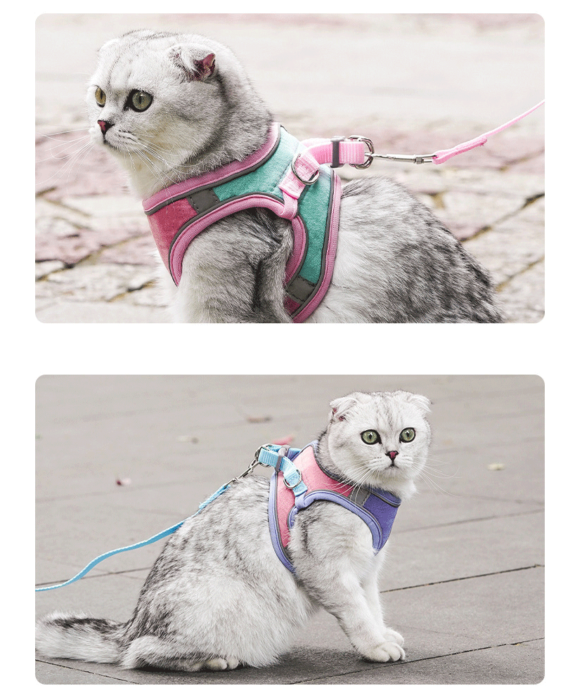 Reflective Cat Breathable Body Harnesses and Leash set