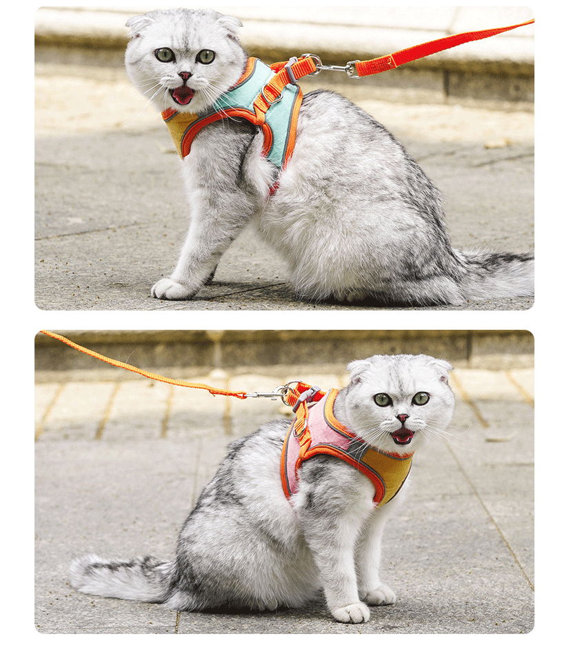 Reflective Cat Breathable Body Harnesses and Leash set