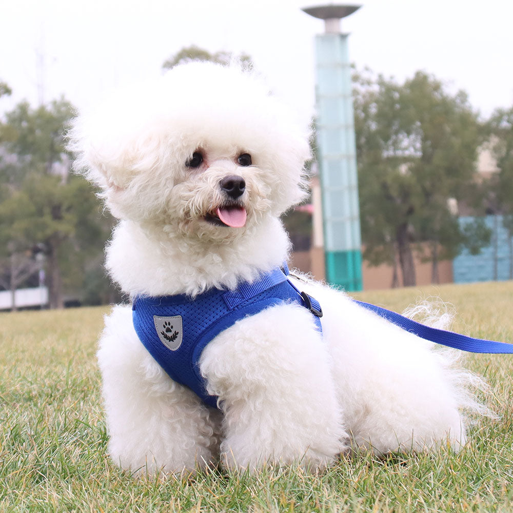 Breathable Walking Vest Harnesses for Dogs