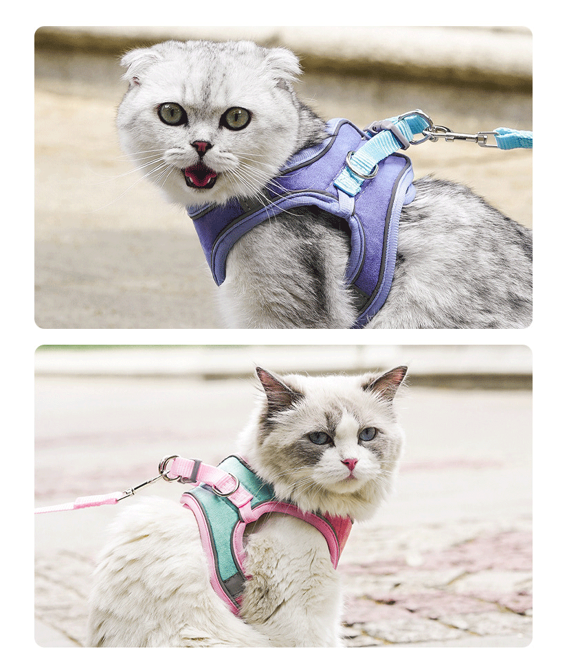 Reflective Cat Breathable Body Harnesses and Leash set