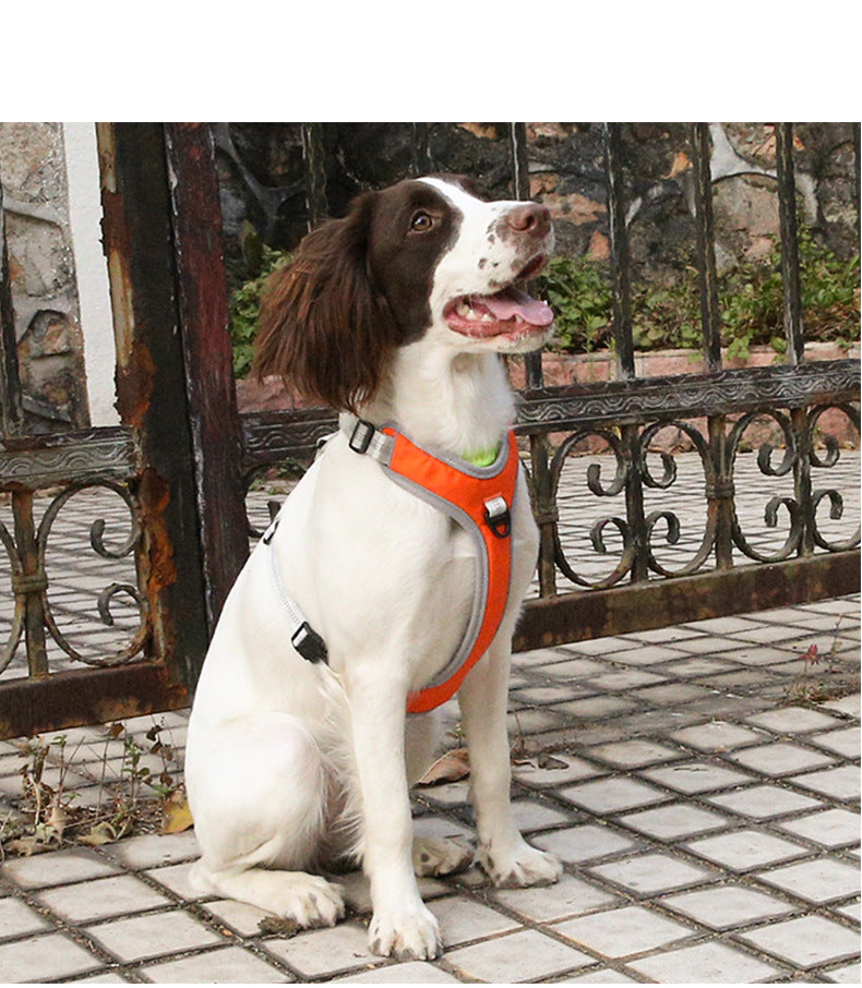 Breathable Mesh Vest Puppy Harnesses