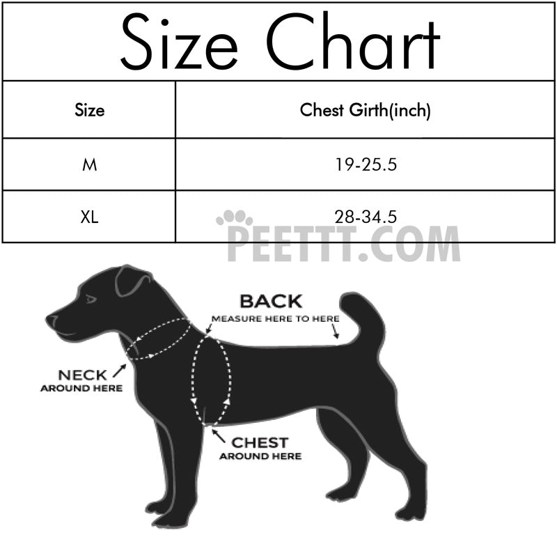 Breathable Mesh Vest Puppy Harnesses