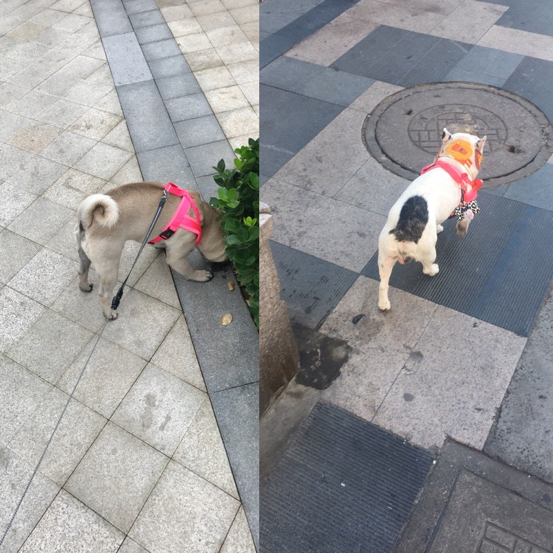 Walking Easy Control Dog Harnesses