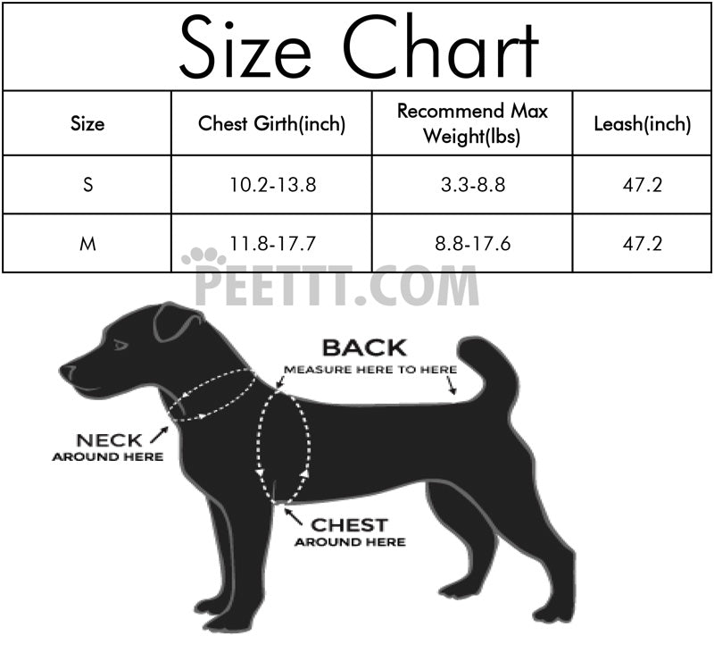 Puppy Starfish Harness and Dog Leash