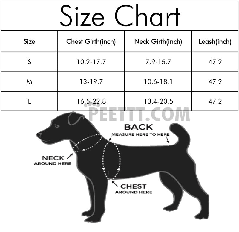 Soft Dog Puppy Comfort Padded Vest Harnesses