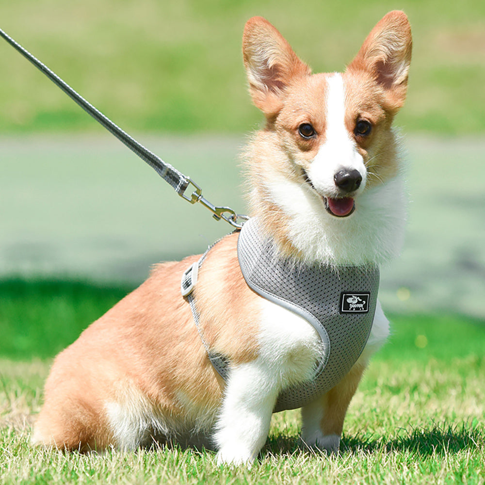 Back Leash Clips Breathable Reflective Dog Vest