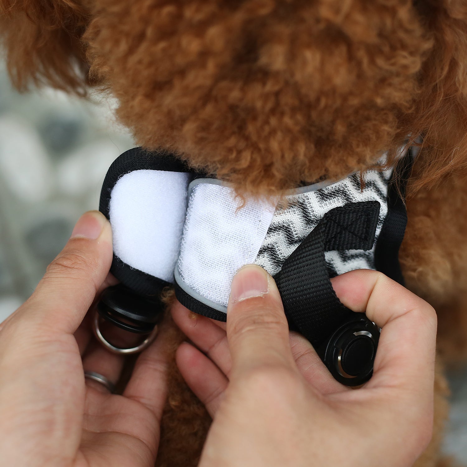 Dog Harnesses with Handle for Outdoor Training
