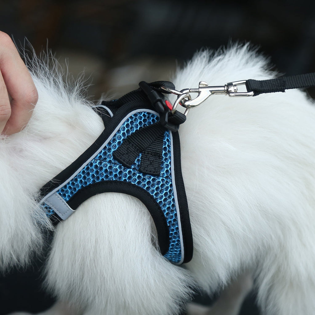 Dog Reflective Harnesses and Dog Leash