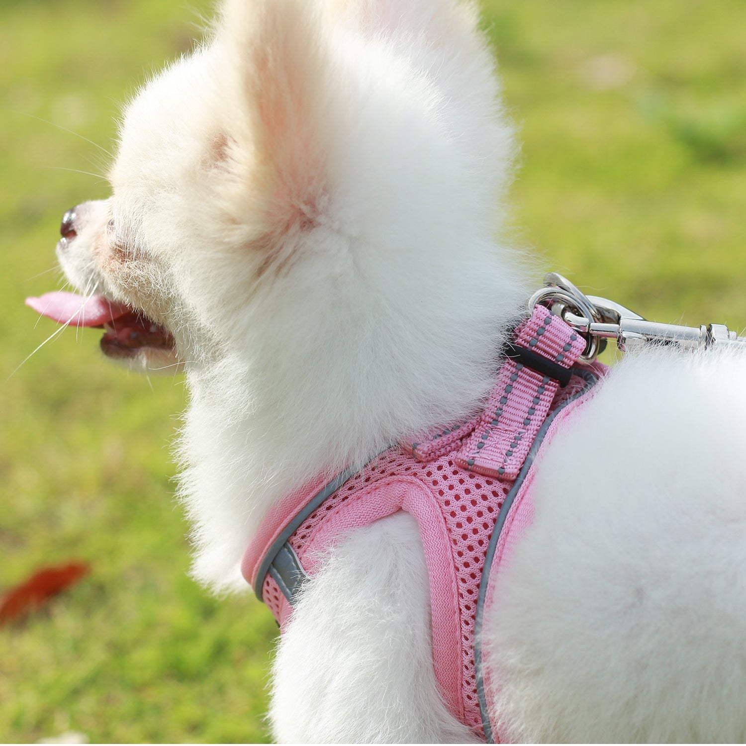 Dog Harnesses with Handle for Outdoor Training