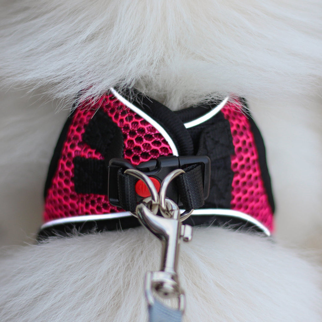 Dog Reflective Harnesses and Dog Leash