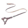 Cute Patterns Dog Leash Harness Set