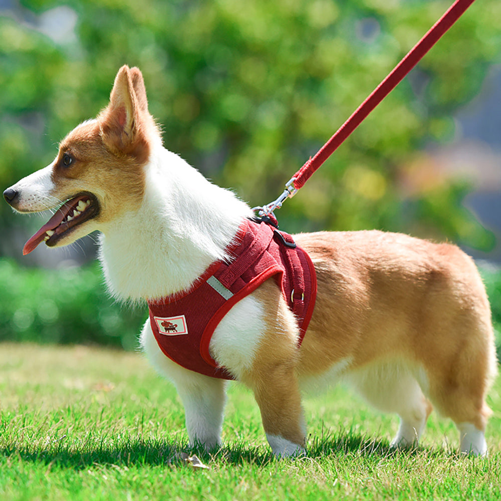 Vest Harness for Small and Medium Dogs